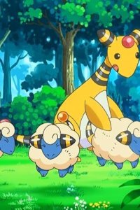 Poketto monsutâ – S16E16 – The Foggy Sangi Ranch! Denryu’s Light!!