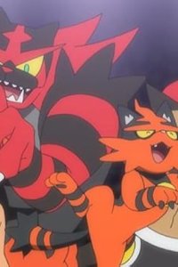 Pokémon – S21E37 – A Young Royal Flame Ignites!