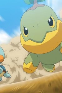 Pokémon – S24E10 – Panic! Gokulin Ball!!/Come on Kamukame Turtle Race!