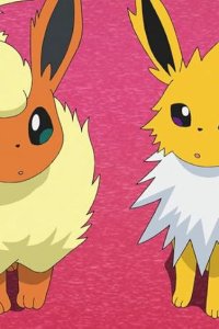 Poketto monsutâ – S25E08 – Pokémon Circus! Booster and Thunders!!
