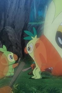 Poketto monsutâ – S25E11 – One-Stick, Bacchinkey!