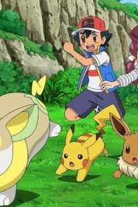 Pokémon – S25E17 – Help Us, Big Bro Wanpachi!