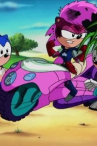 Sonic Underground – S01E06 – The Price of Freedom