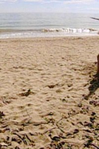 Survivor – S01E05 – Pulling Your Own Weight
