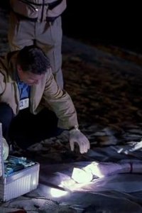 CSI: Crime Scene Investigation – S01E04 – Pledging Mr. Johnson