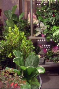 Enterprise – S01E20 – Oasis