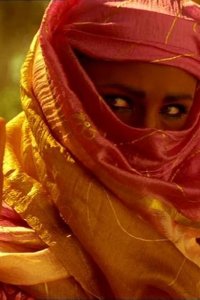 Alias – S01E20 – The Solution