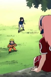Naruto – S2002E10 – Chakura no mori