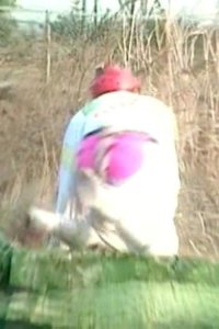 Most Extreme Elimination Challenge – S01E12 – Adult Entertainment vs. Home Improvement