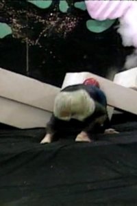 Most Extreme Elimination Challenge – S05E12 – People Who Piss Us Off vs. Worst Jobs