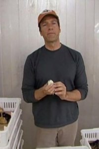 Dirty Jobs – S01E04 – Chick Sexer