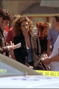 CSI: NY – S01E23 – What You See Is What You See