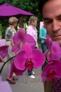 Desperate Housewives – S01E20 – Fear No More