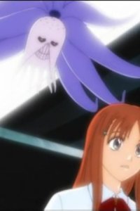 Bleach – S01E13 – Flower and Hollow