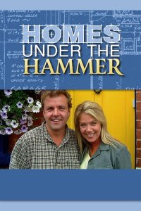 Homes Under the Hammer – S25E16 – Episode #25.16