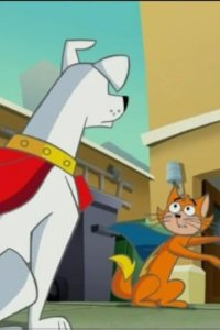Krypto the Superdog – S01E08 – Old Dog, New Tricks/Talk to the Animals
