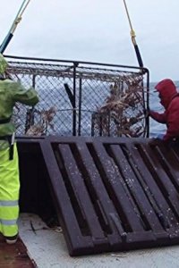 Deadliest Catch – S01E05 – Dead of Winter