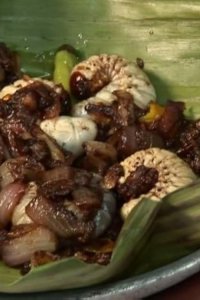 Bizarre Foods with Andrew Zimmern – S01E01 – Philippines