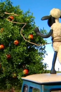 Shaun the Sheep – S01E05 – Scrumping
