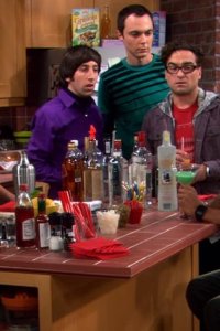 The Big Bang Theory – S01E08 – The Grasshopper Experiment
