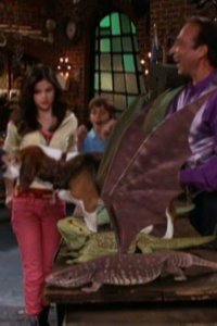 Wizards of Waverly Place – S01E08 – Curb Your Dragon