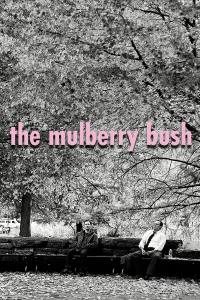 The Mulberry Bush