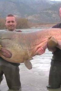 River Monsters – S01E04 – European Maneater