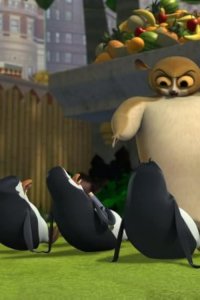 The Penguins of Madagascar – S01E16 – Mort Unbound/Roomies