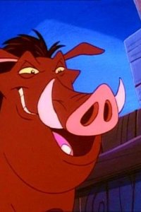 Timon & Pumbaa – S01E05 – Yukon Con/Doubt of Africa