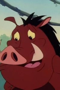 Timon & Pumbaa – S01E15 – Unlucky in Lesotho/Rafiki Fables: Rafiki’s Apprentice