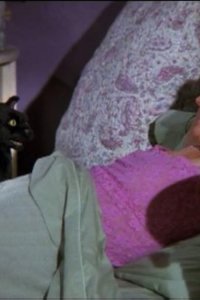 Sabrina the Teenage Witch – S07E22 – Soul Mates