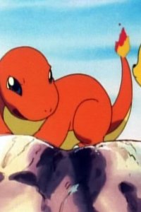 Poketto monsutâ – S01E11 – Lost Pokemon Hitokage