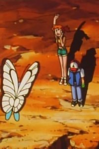 Poketto monsutâ – S01E21 – Bye Bye Butterfree