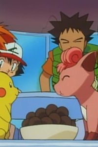 Pokémon – S01E28 – Rokon! Breeder Confrontation!