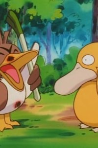 Poketto monsutâ – S01E49 – Kamonegi’s Easy Mark