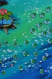 Poketto monsutâ – S01E51 – Fushigidane’s Mysterious Flower Garden
