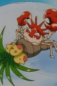 Poketto monsutâ – S01E77 – Pokémon League Opens! Water Battlefield!