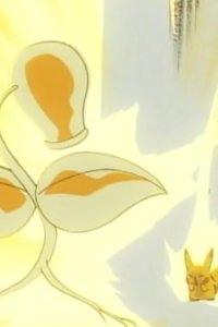 Poketto monsutâ – S01E79 – Grass Battlefield! Unexpected Rival!