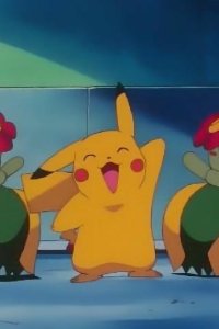 Pokémon – S03E06 – Flower Power