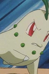 Pokémon – S03E10 – The Chikorita Rescue
