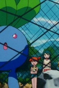 Pokémon – S03E21 – Hanecco’s Jealousy! Battle in Big Prairie!!