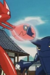 Pokémon – S03E24 – Battle! Hassam vs Heracross!!