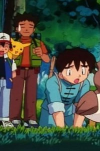 Poketto monsutâ – S03E29 – Ubame Forest! Search for Kamonegi!!