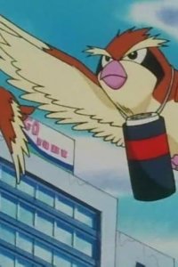 Pokémon – S04E07 – The Carrier Poppo of the Poppo Store!