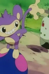 Pokémon – S04E10 – The Three of the Jungle! Battle in the Hot Springs!!