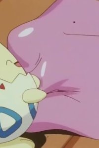 Pokémon – S04E17 – Aim to Be a Metamon Master! Imite