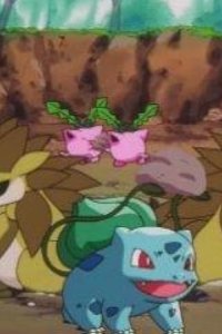 Poketto monsutâ – S05E16 – Farewell Fushigidane! Adventure at Professor Oak’s