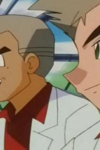 Pokémon – S05E36 – Fake Okido! Pokémon Senryu Confrontation!!