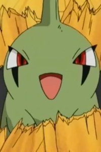 Pokémon – S05E53 – Yogiras Does Its Best!