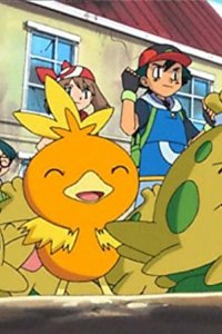 Poketto monsutâ – S06E09 – Taming of the Shroomish